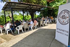 Gathering of United Romiosyni in Veria