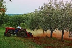 Γεωργία: Συρρικνώνονται παραγωγή και εισοδήματα