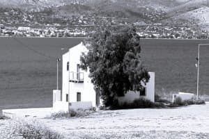 Σαλαμίνα: Ένας αδικημένος παράδεισος, από τη ναυμαχία στο δραματικό λοιμοκαθαρτήριο και τις εμπνεύσεις του Σικελιανού