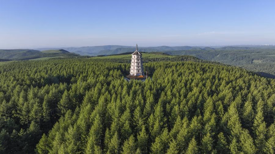 EcoChina | A glimpse of Saihanba: a lush paradise from barren wilderness-Xinhua