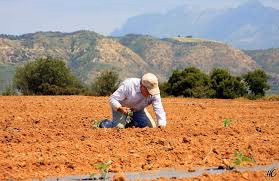 AGROTHS