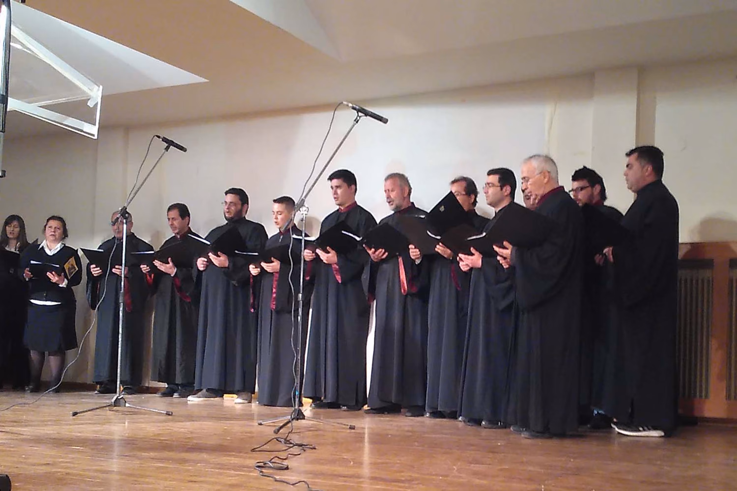 paisios-krya-vrysi-2