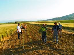 AGROTES