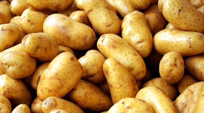PATATES