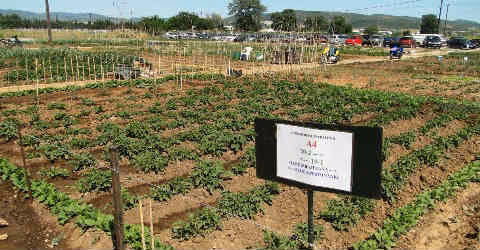 AGROKTHMA_BIOLOGIKO