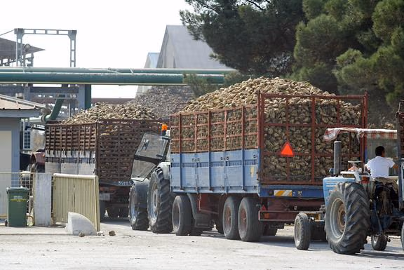 Οι καλλιεργητές τεύτλων μεταφέρουν την παραγωγή τους στα εργοστάσια της Ε.Β.Ζ.