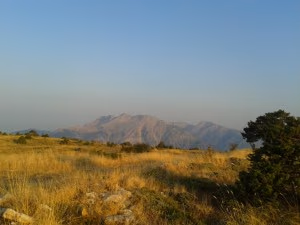 ΆγραφαΚαρδίτσας2