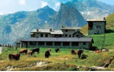 agrotourismos